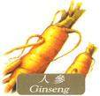 Ginseng Extract - Herbal Extracts