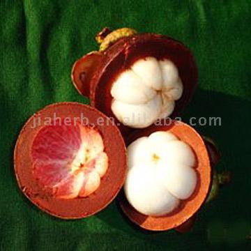 Mangosteen P.E. - Herbal Extracts