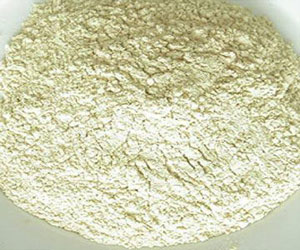 Onion Freeze-dried Powder - Herbal Extracts