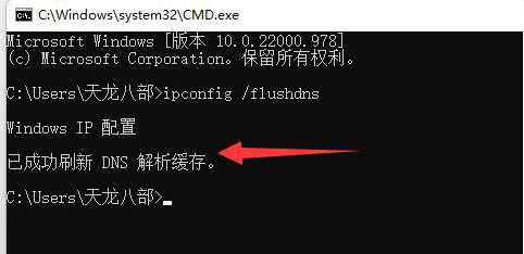 win11系统dns异常无法上网怎么办